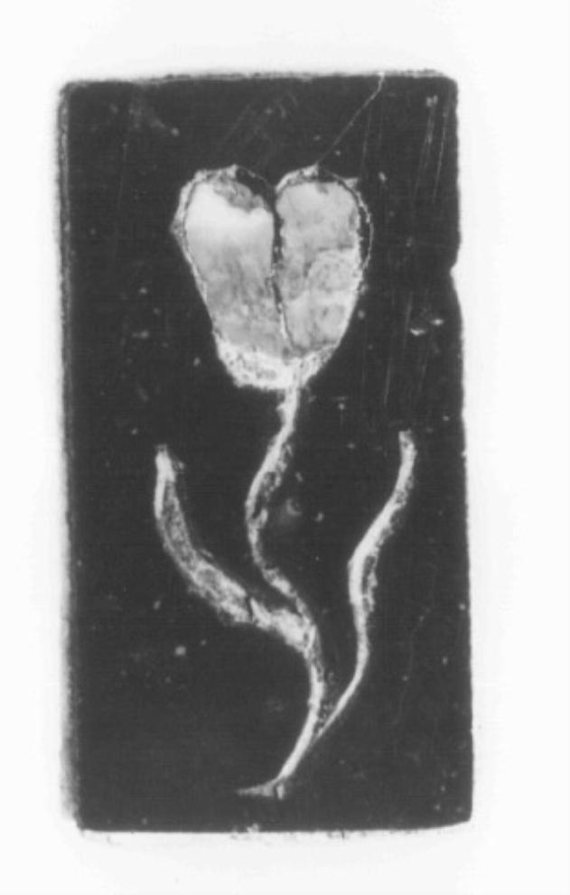 fiore (decorazione a intarsio) di Fasolato Agostino (sec. XVIII)