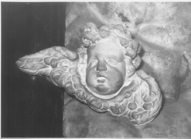 testa di cherubino (decorazione plastica) di Parodi Filippo (attribuito) - ambito veneto (sec. XVII)