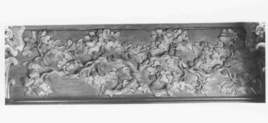 motivi decorativi floreali e vegetali (rilievo) di Bartens Michele Micheletto detto Micheletto (secc. XVI/ XVIII)