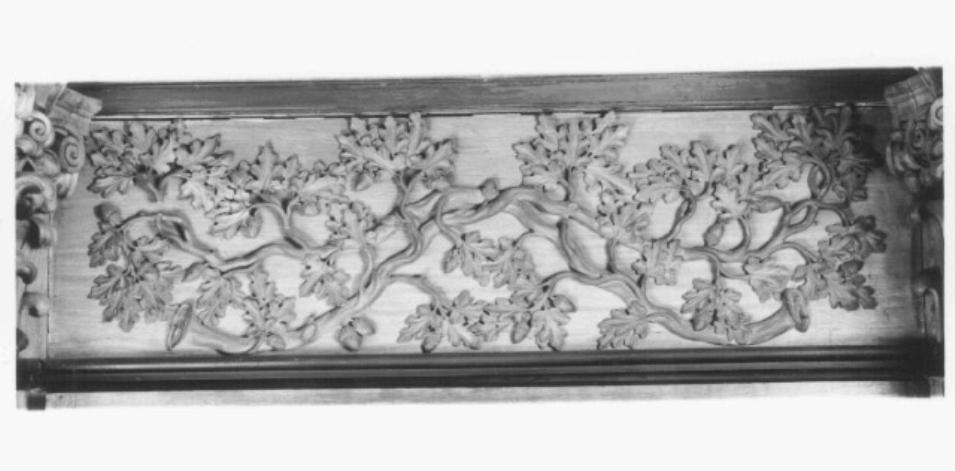 motivi decorativi floreali e vegetali (rilievo) di Bartens Michele Micheletto detto Micheletto (secc. XVI/ XVIII)