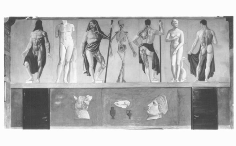 anatomie (dipinto) di Funi Achille (sec. XX)