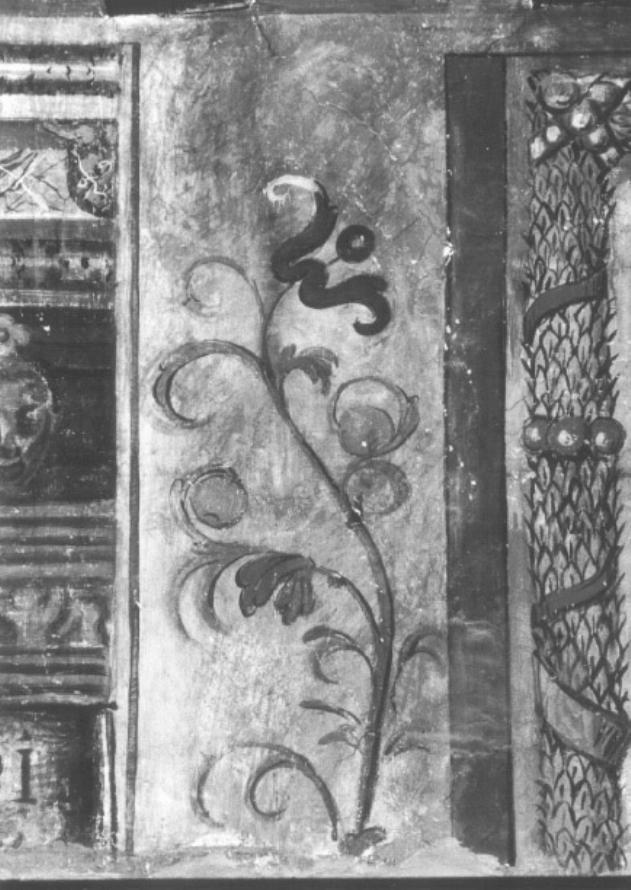 motivi decorativi vegetali (dipinto) - ambito feltrino (sec. XVII)