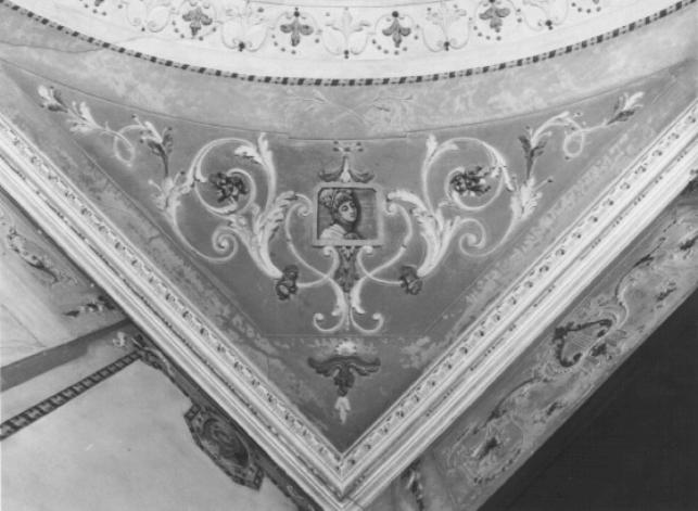 motivo fitomorfo (decorazione plastica) - ambito feltrino (sec. XIX)