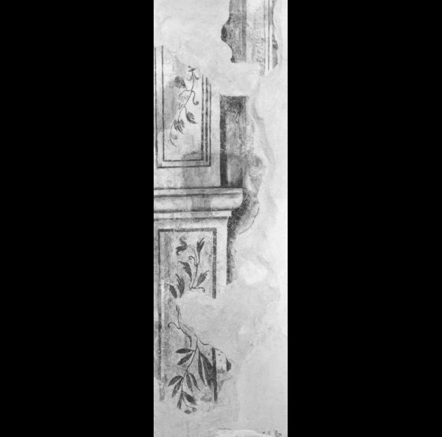 Motivi decorativi vegetali / motivi decorativi a trompe l'oeil (dipinto) - ambito veneto (primo quarto sec. XVI)