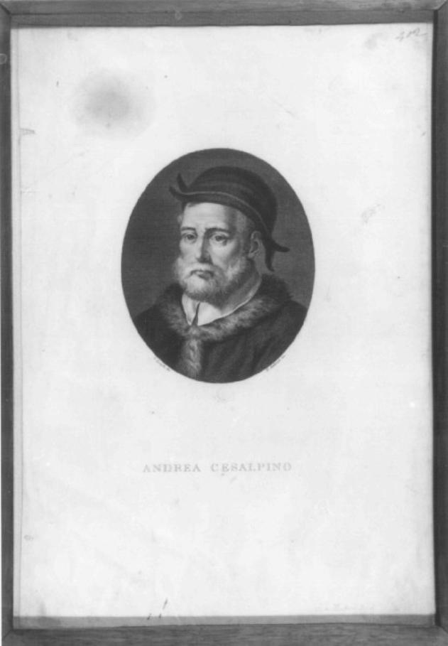 ritratto di Andrea Cesalpino (stampa) - ambito veneto (sec. XIX)