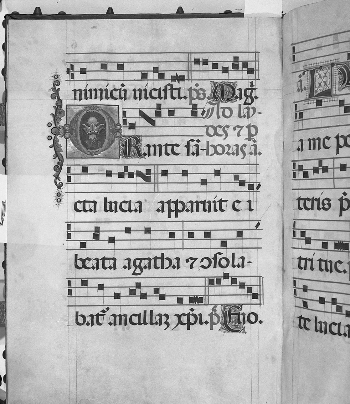 Iniziale O tra motivi fitomorfi (miniatura) - ambito veneto (sec. XVI)