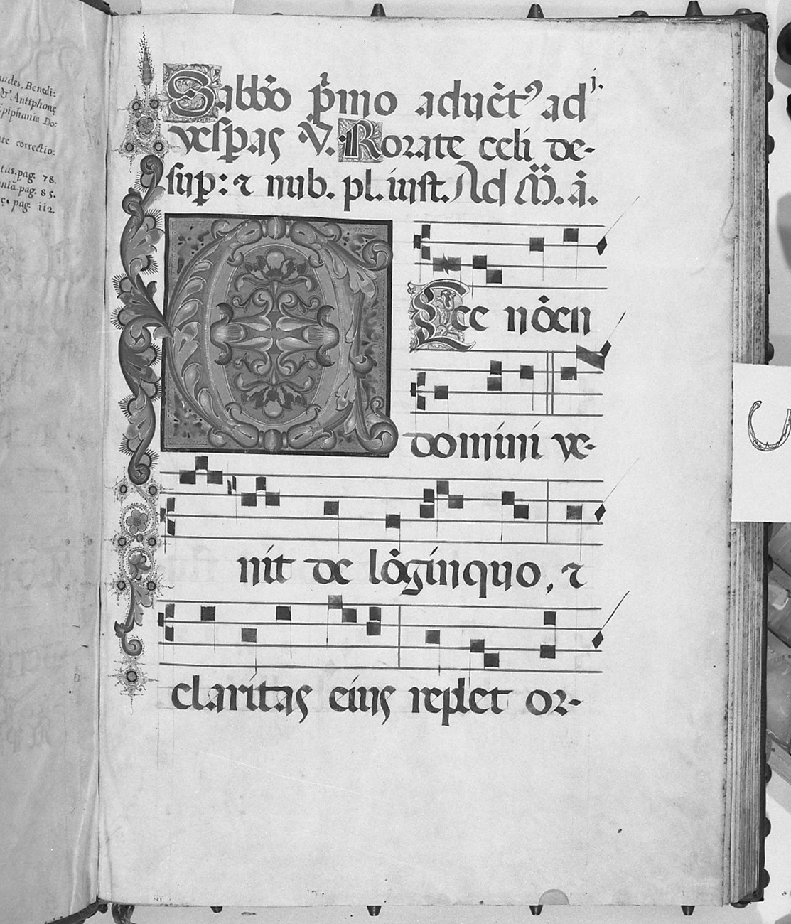 Iniziale E tra motivi fitomorfi (miniatura) - ambito veneto (sec. XVI)