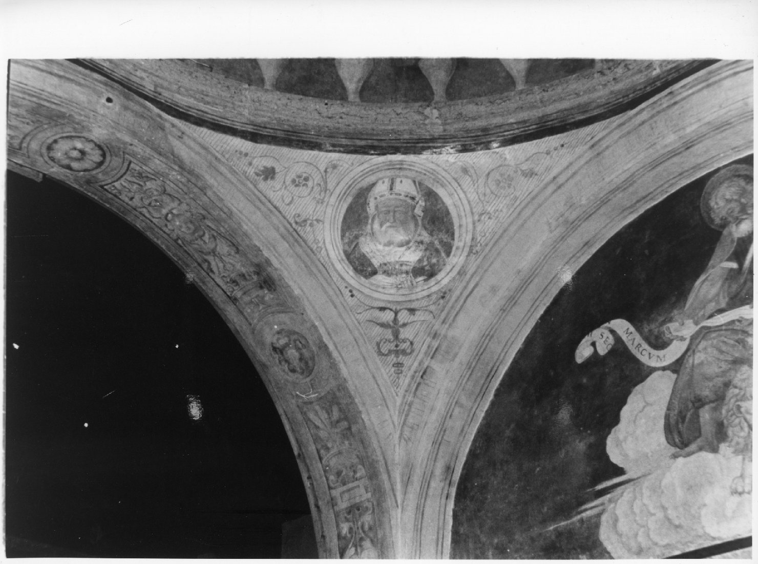 ritratto di Vescovo (dipinto) di Amalteo Pomponio (attribuito) (sec. XVI)
