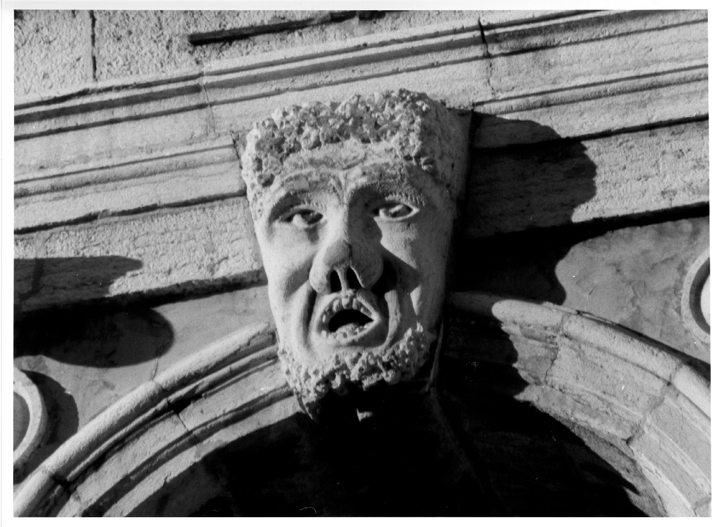 testa d'uomo (rilievo) di Juvarra Filippo (sec. XVIII)