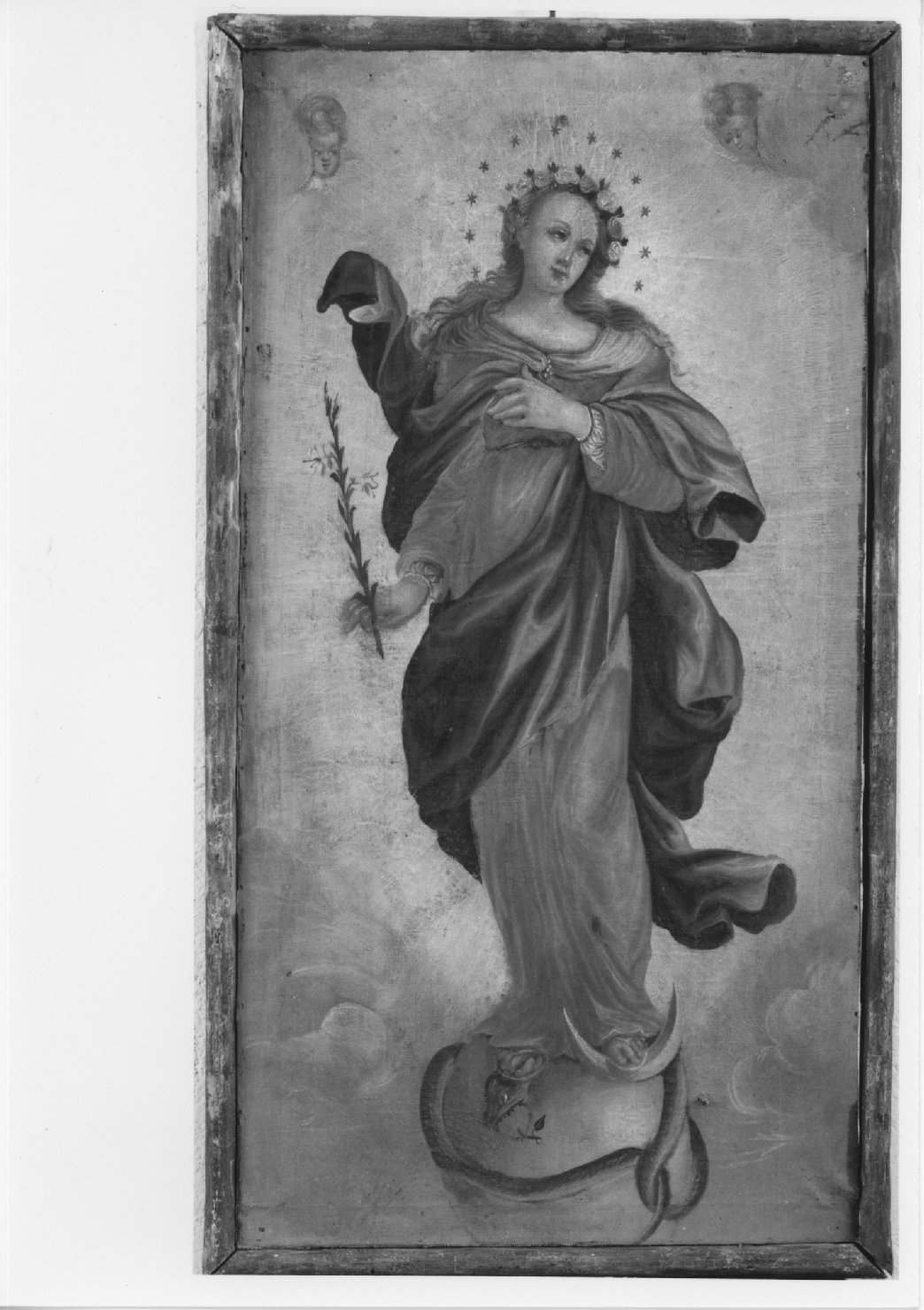 Immacolata Concezione (dipinto) - ambito veneto (sec. XIX)