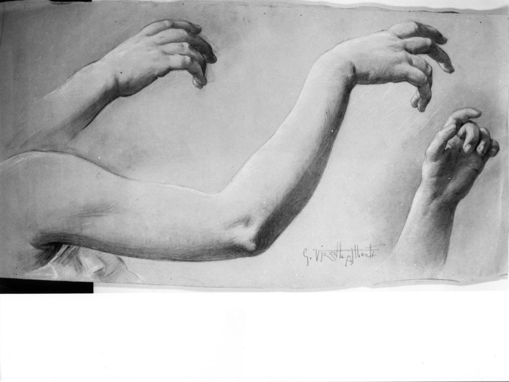 studio anatomico: mani (disegno) di Vizzotto Alberti Giuseppe (sec. XIX)