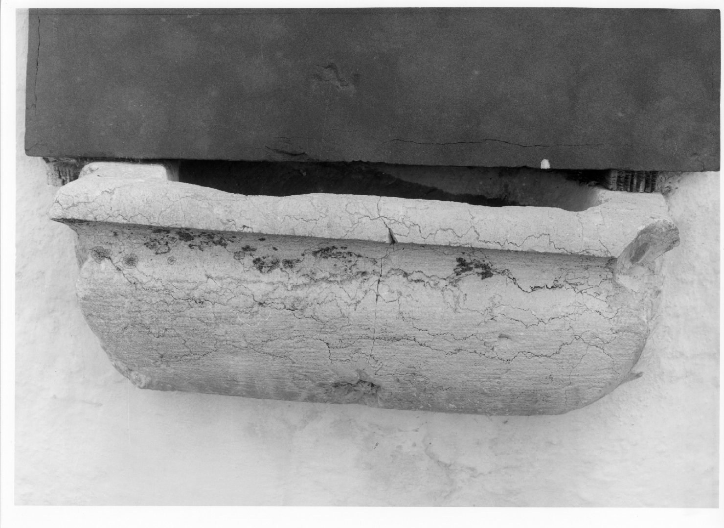 acquasantiera - da parete - manifattura veneta (sec. XVI)