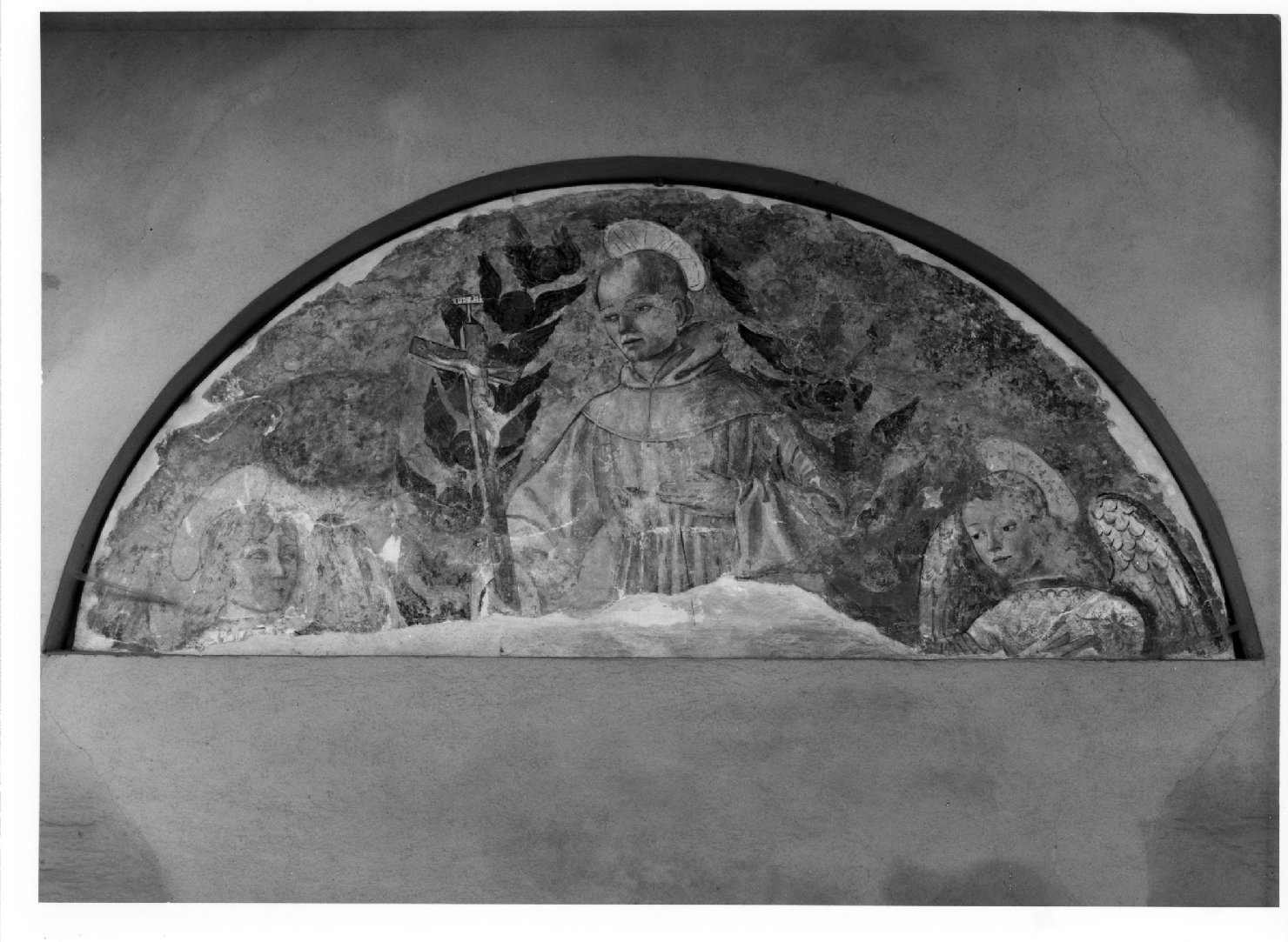 San Francesco d'Assisi (dipinto) - ambito veneto (primo quarto sec. XVI)