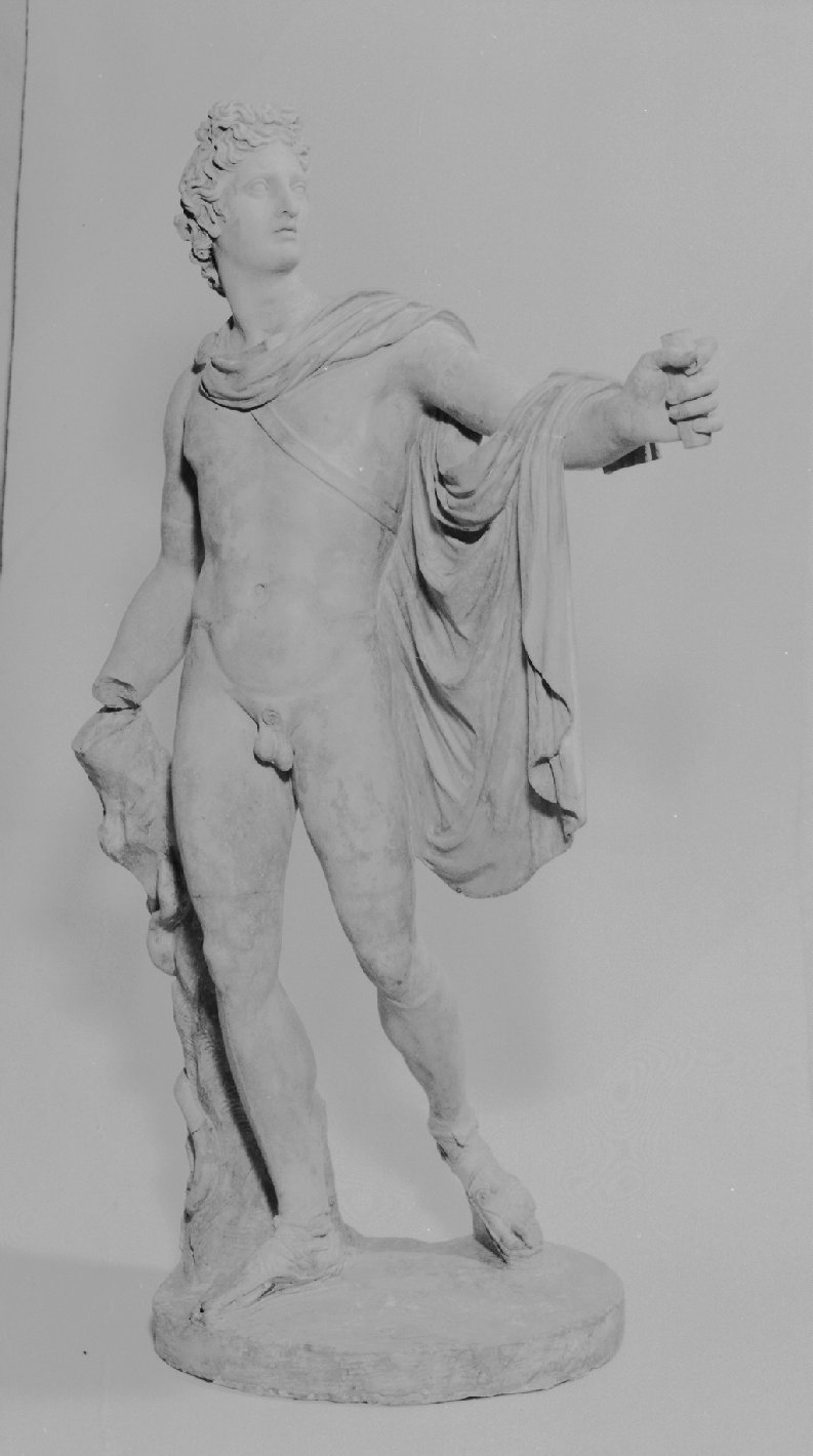 Apollo del Belvedere, Apollo (scultura, opera isolata) di Rusconi Camillo (secc. XVII/ XVIII)