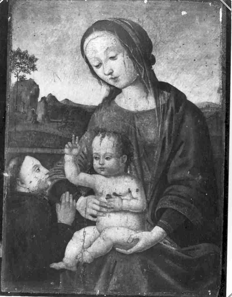 Madonna con Bambino e devoti (dipinto, opera isolata) - ambito umbro (secc. XV/ XVI)