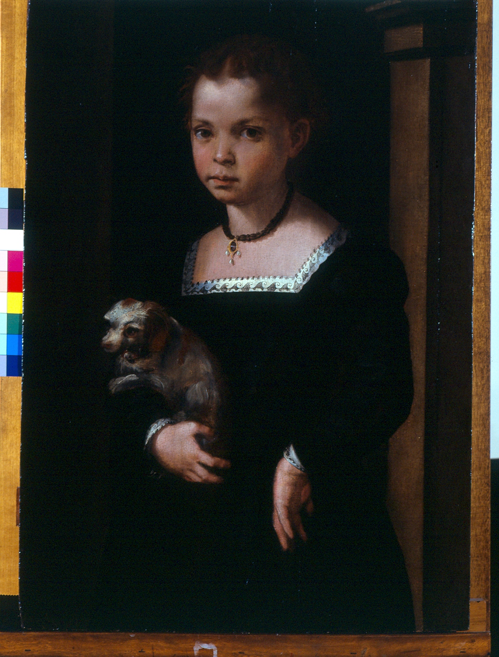 ritratto di bambina (tavola, opera isolata) di Carucci Jacopo detto Pontormo (attribuito) (secc. XV/ XVI)