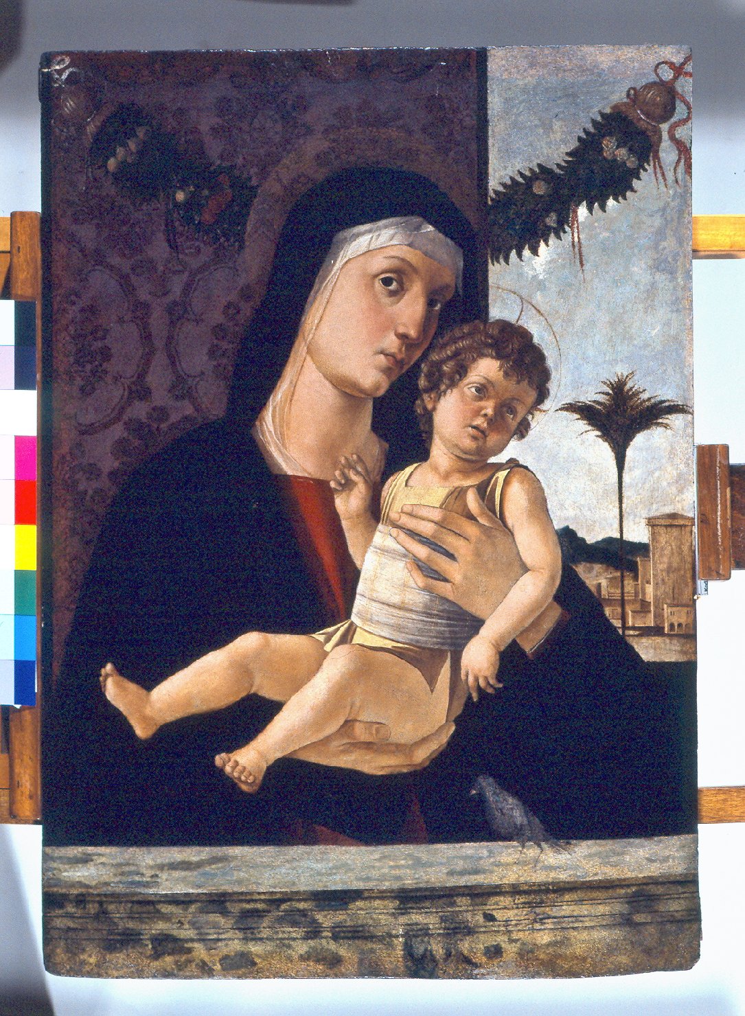 La Madonna dagli occhi belli, Madonna con Bambino (dipinto, opera isolata) di Bellini Giovanni detto Giambellino (attribuito) (sec. XV)