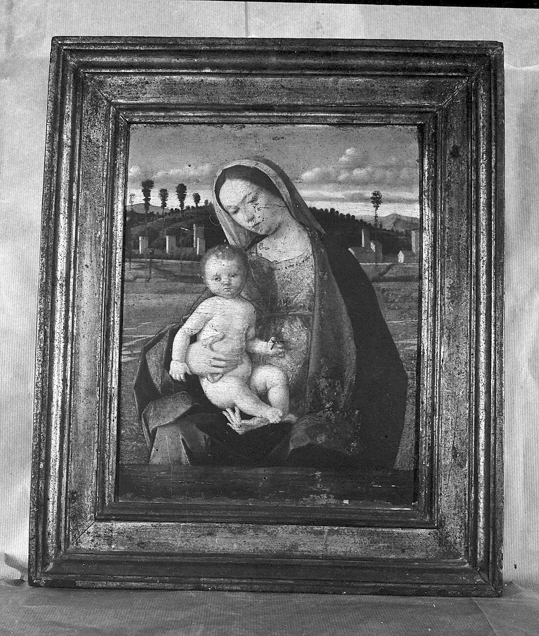 Madonna con Bambino (dipinto, opera isolata) di Bellini Giovanni detto Giambellino (scuola) (seconda metà sec. XV)