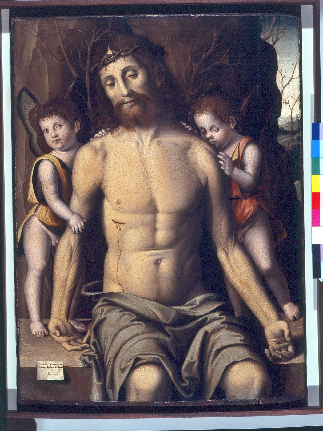 Cristo in pietà sorretto da angeli (dipinto, opera isolata) di Palmezzano Marco (attribuito) (prima metà sec. XVI)
