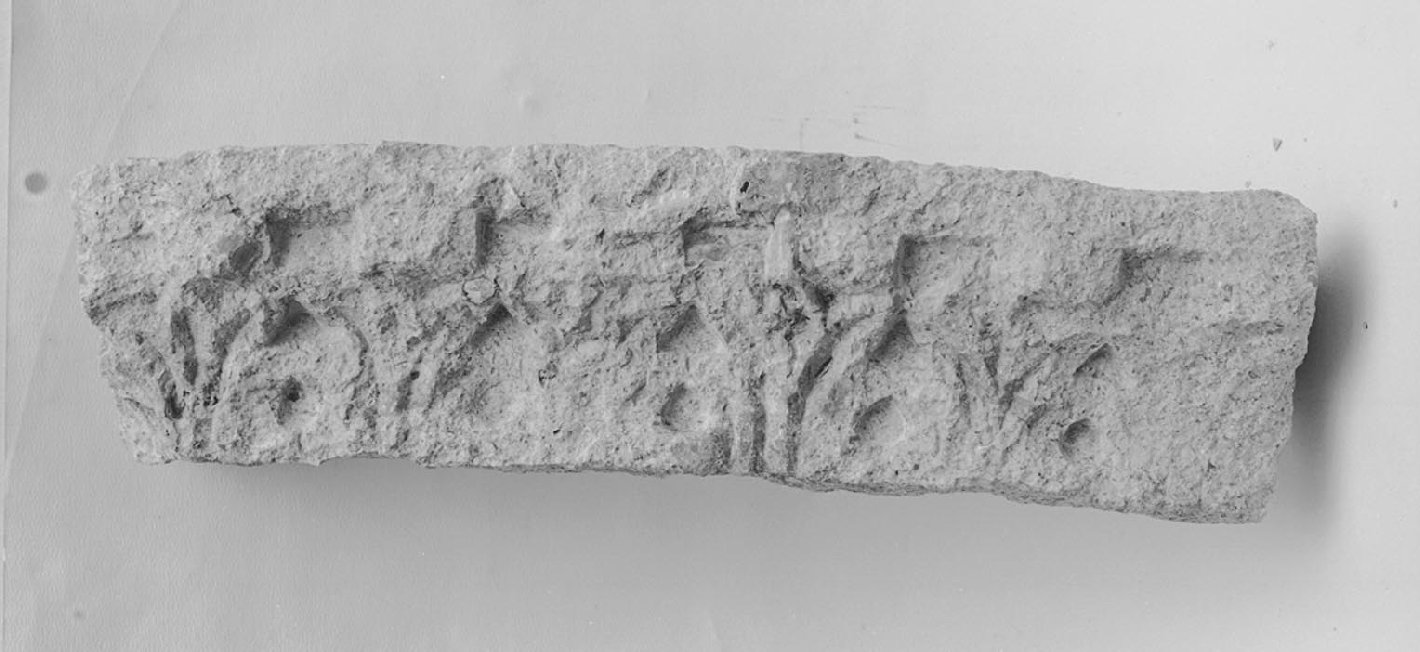 motivi decorativi a girali (cornice architettonica, frammento) - ambito veneto (secc. XI/ XIII)
