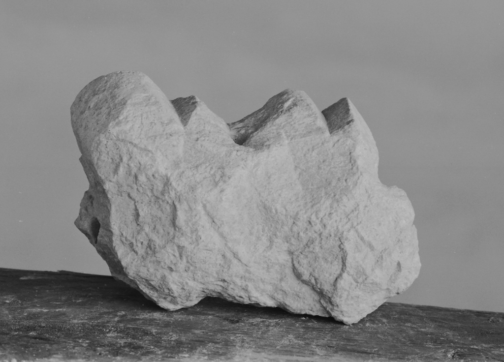 motivi decorativi astratti (decorazione plastica, frammento) - ambito veneto (sec. XV)