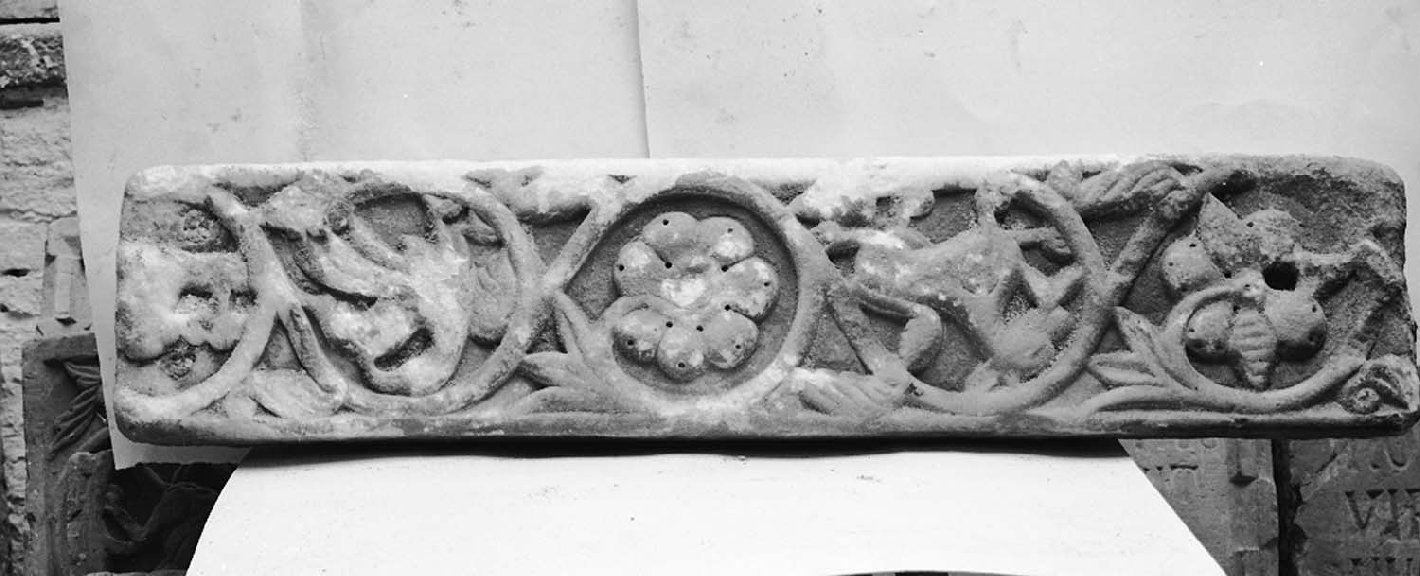 motivi decorativi vegetali e animali (cornice architettonica, frammento) - ambito Italia centro-settentrionale (secc. XI/ XIII)
