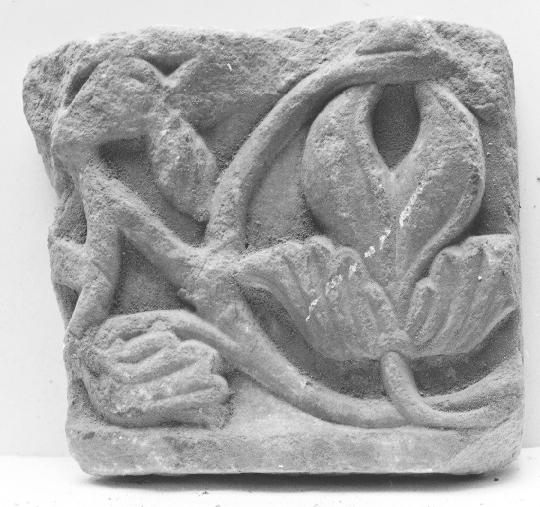 motivi decorativi vegetali (cornice architettonica, frammento) - ambito Italia centro-settentrionale (sec. XII)