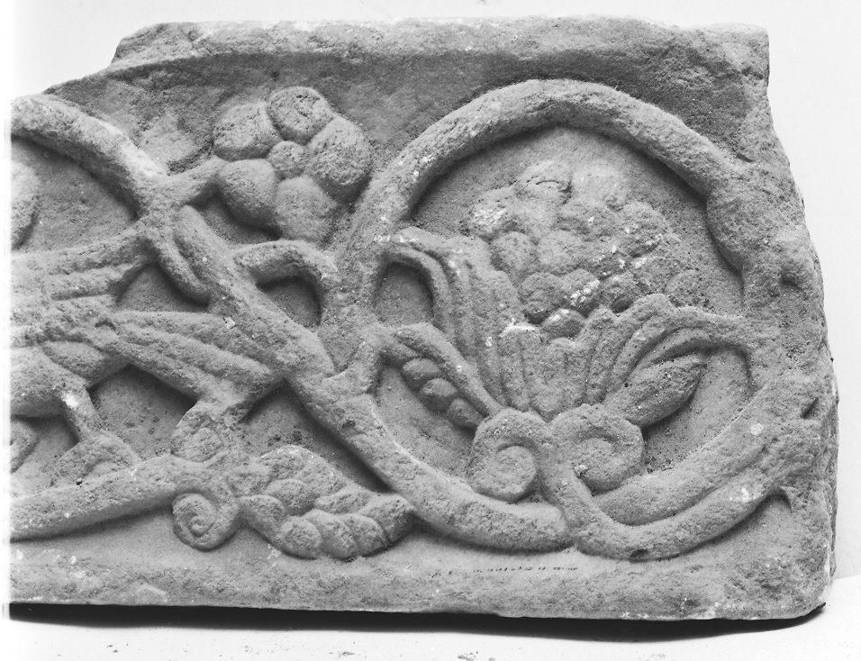 motivi decorativi vegetali (cornice architettonica, frammento) - ambito Italia centro-settentrionale (secc. XII/ XIII)