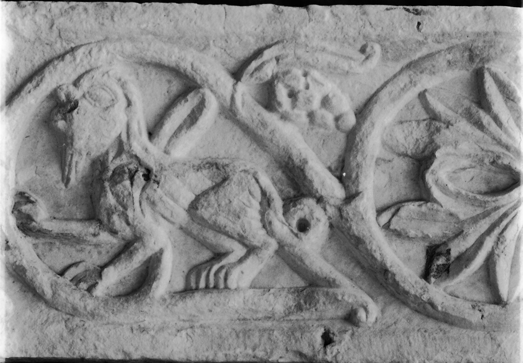 animali fantastici e motivi decorativi fitomorfi (cornice architettonica, frammento) - ambito Italia centro-settentrionale (sec. XII)