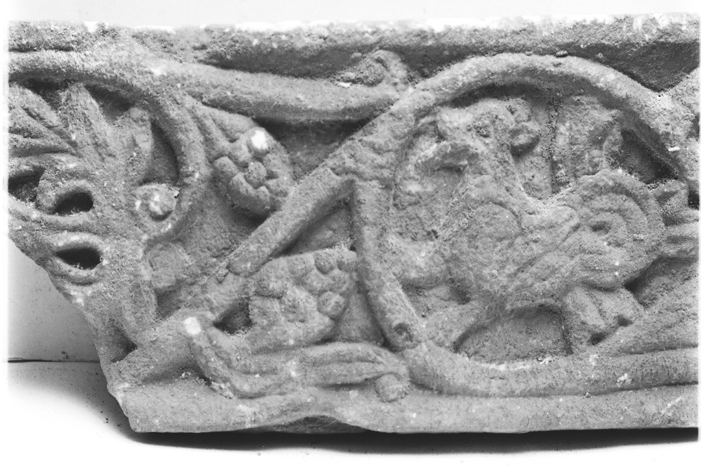 animali fantastici e motivi decorativi fitomorfi (cornice architettonica, frammento) - ambito Italia centro-settentrionale (secc. XI/ XIII)