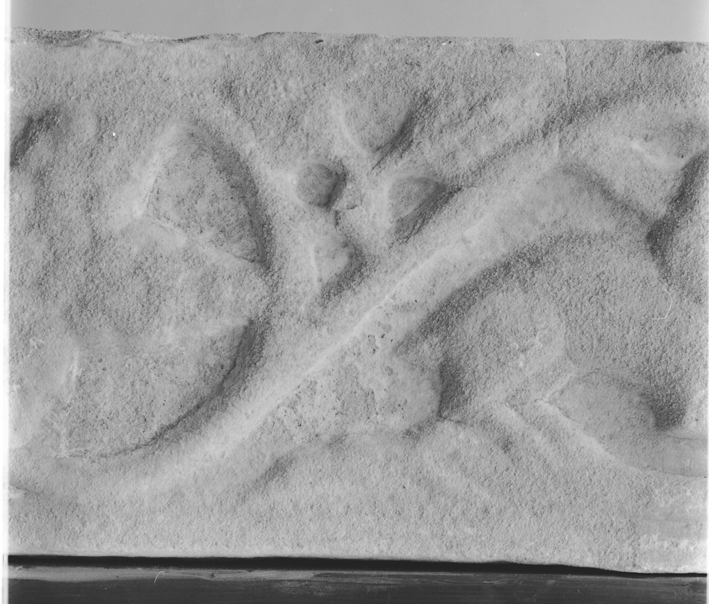 motivi decorativi vegetali e animali (cornice architettonica, frammento) - ambito Italia centro-settentrionale (secc. XII/ XIII)