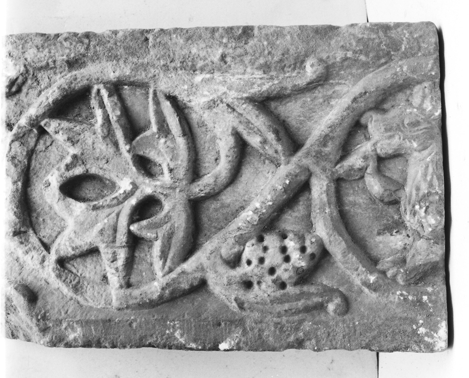 motivi decorativi vegetali e animali (cornice architettonica, frammento) - ambito Italia centro-settentrionale (sec. XII)