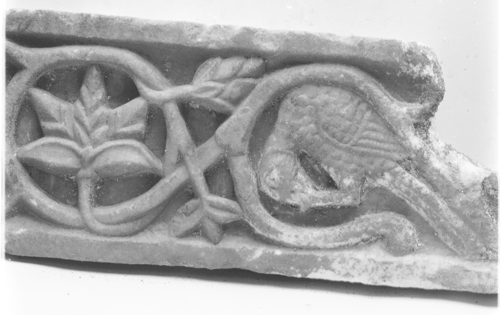 motivi decorativi vegetali con uccelli (decorazione plastico-architettonica, opera isolata) - ambito Italia centro-settentrionale (sec. XII)