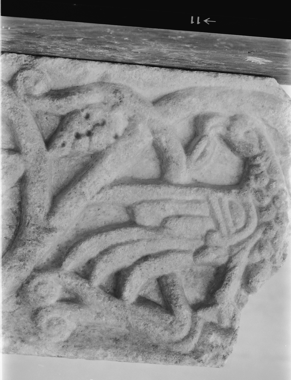 motivi decorativi vegetali con uccelli (cornice architettonica, opera isolata) - ambito Italia centro-settentrionale (secc. XI/ XII)
