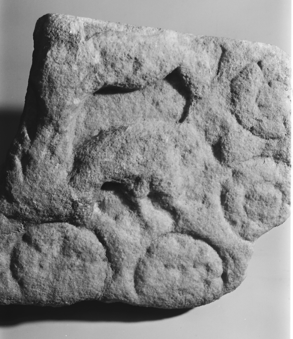 motivi decorativi vegetali (cornice architettonica, opera isolata) - ambito Italia centro-settentrionale (sec. XII)