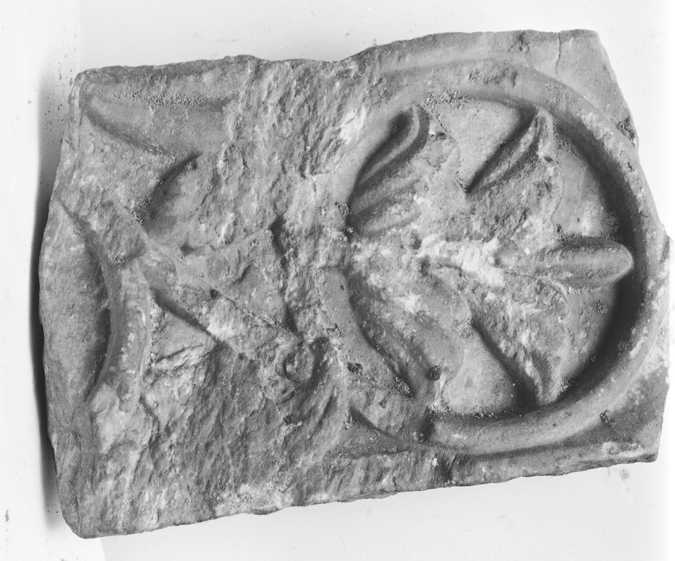 motivi decorativi vegetali (cornice architettonica, opera isolata) - ambito Italia centro-settentrionale (sec. XII)