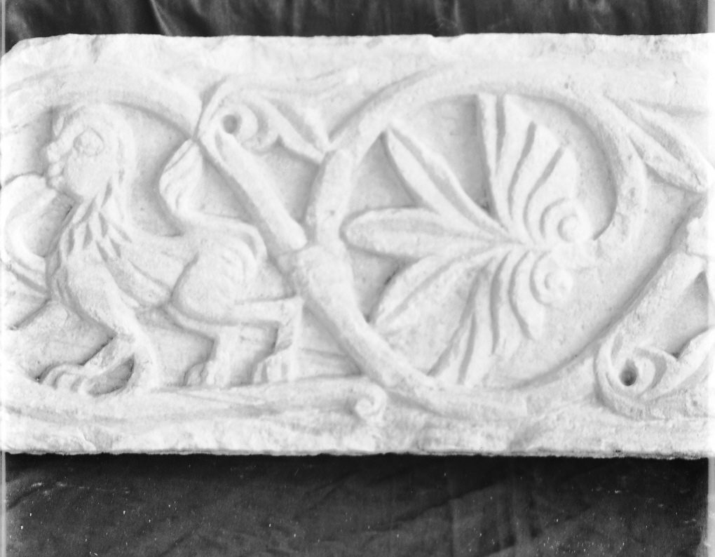 animali fantastici e motivi decorativi fitomorfi (cornice architettonica, opera isolata) - ambito Italia centro-settentrionale (secc. XI/ XII)