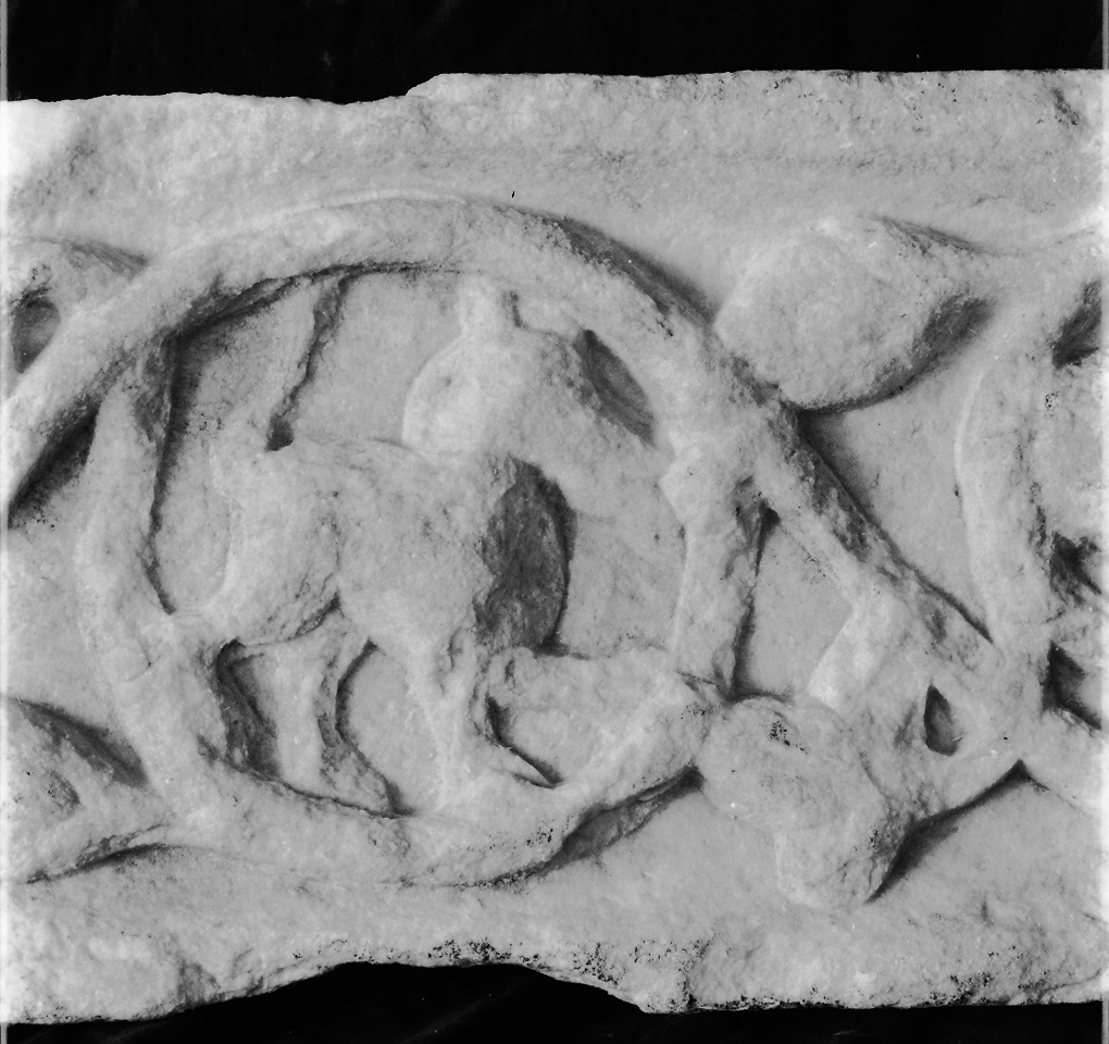 motivi decorativi vegetali e animali (decorazione plastico-architettonica, opera isolata) - ambito Italia centro-settentrionale (sec. XII)