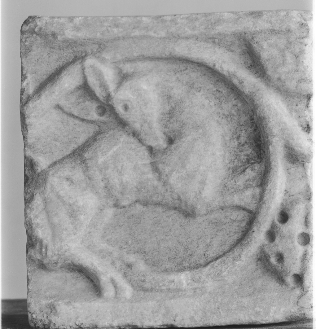 animali (cornice architettonica, opera isolata) - ambito Italia centro-settentrionale (secc. XII/ XIII)