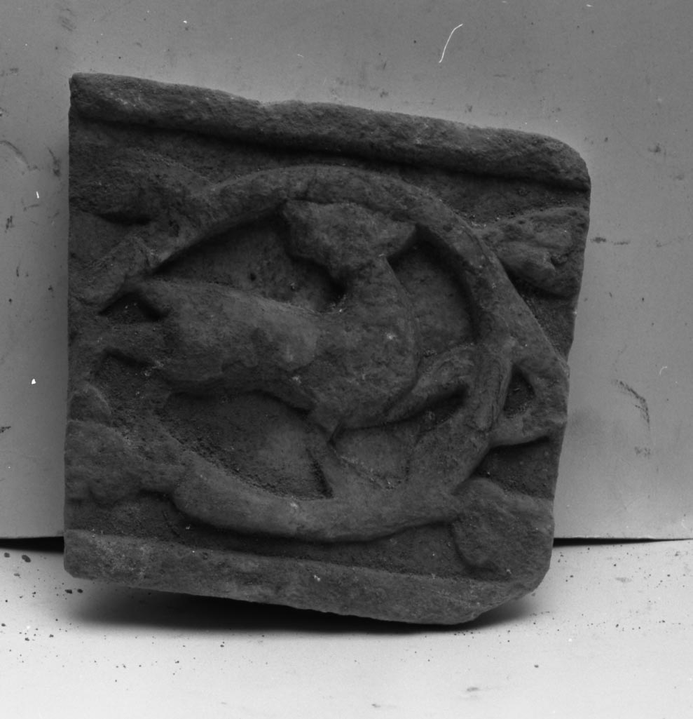 motivi decorativi vegetali e animali (rilievo, frammento) - ambito bizantino (secc. XII/ XIII)