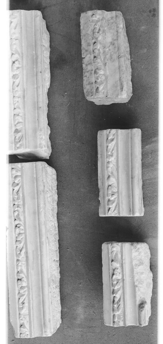 motivi decorativi vegetali (cornice architettonica, elemento d'insieme) - ambito Italia centro-settentrionale (prima metà sec. XVI)