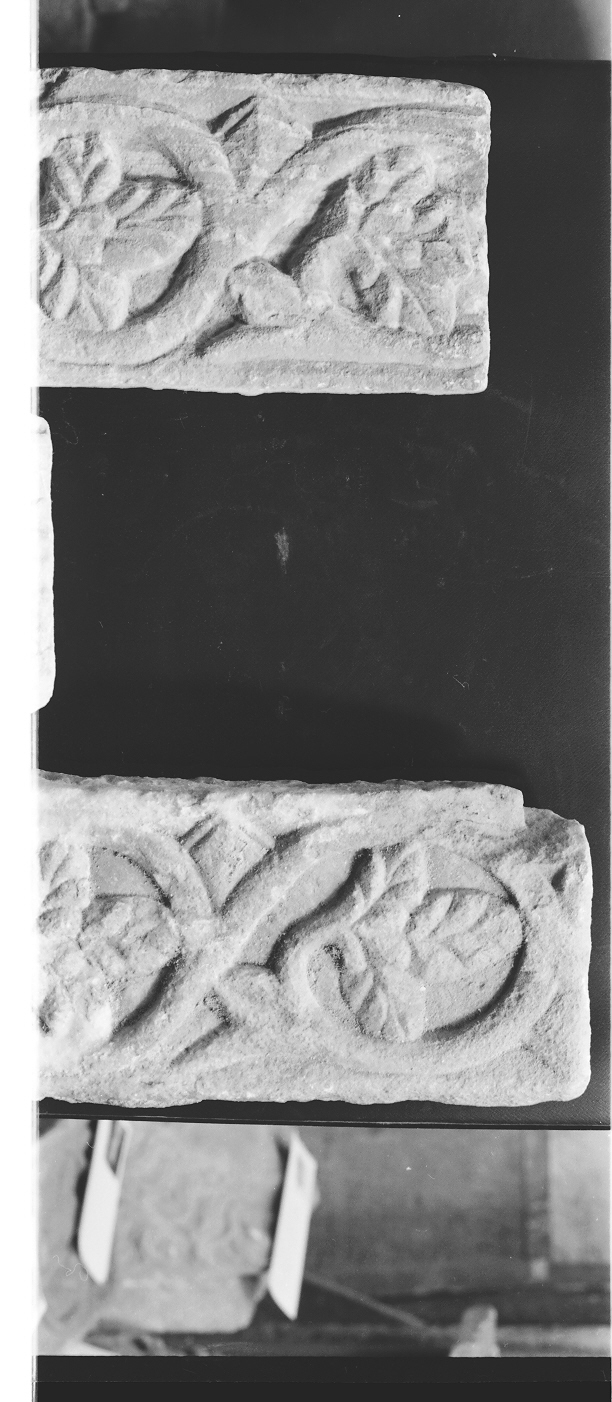 motivi decorativi vegetali (cornice architettonica, frammento) - bottega veneta (secc. XII/ XIII)