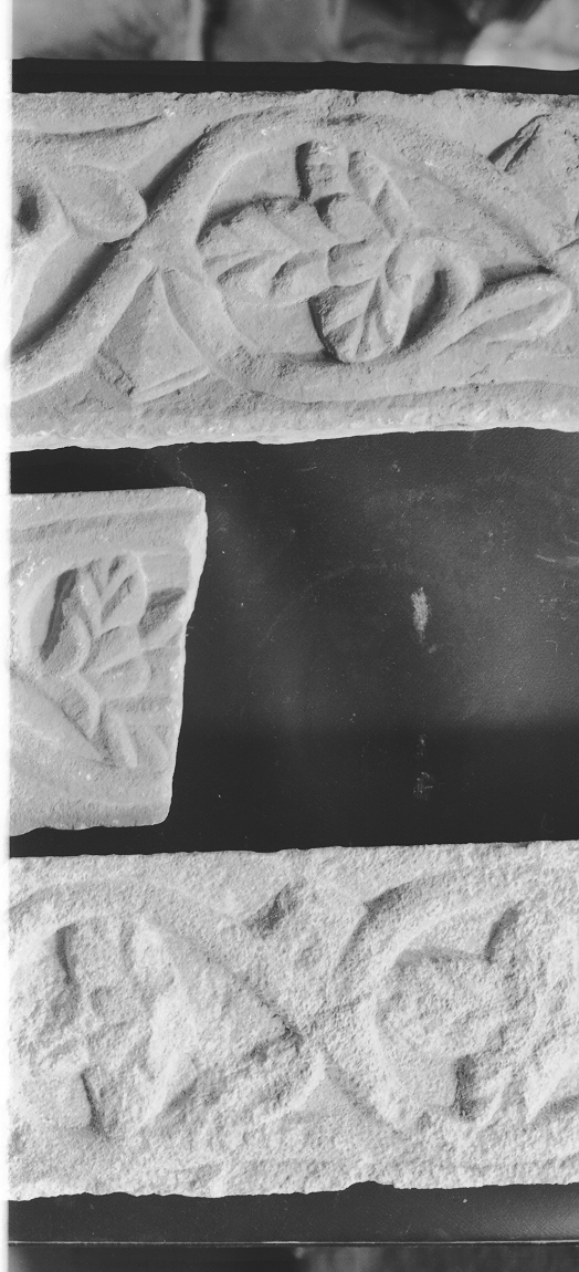 motivi decorativi vegetali (cornice architettonica, frammento) - bottega veneta (secc. XII/ XIII)