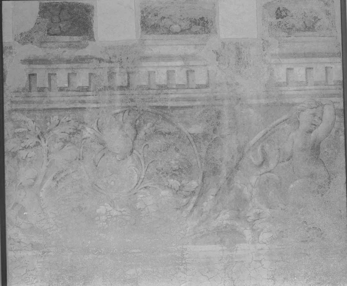 motivi decorativi vegetali con putti alati (dipinto, elemento d'insieme) di De Sacchis Giovanni Antonio detto Pordenone (sec. XVI)