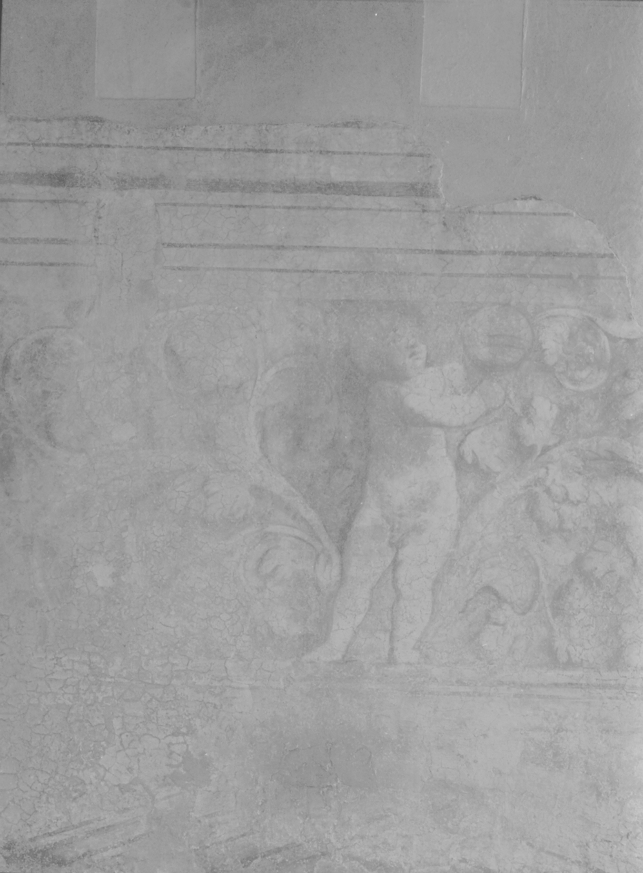 motivi decorativi vegetali con putti alati (dipinto, elemento d'insieme) di De Sacchis Giovanni Antonio detto Pordenone (sec. XVI)