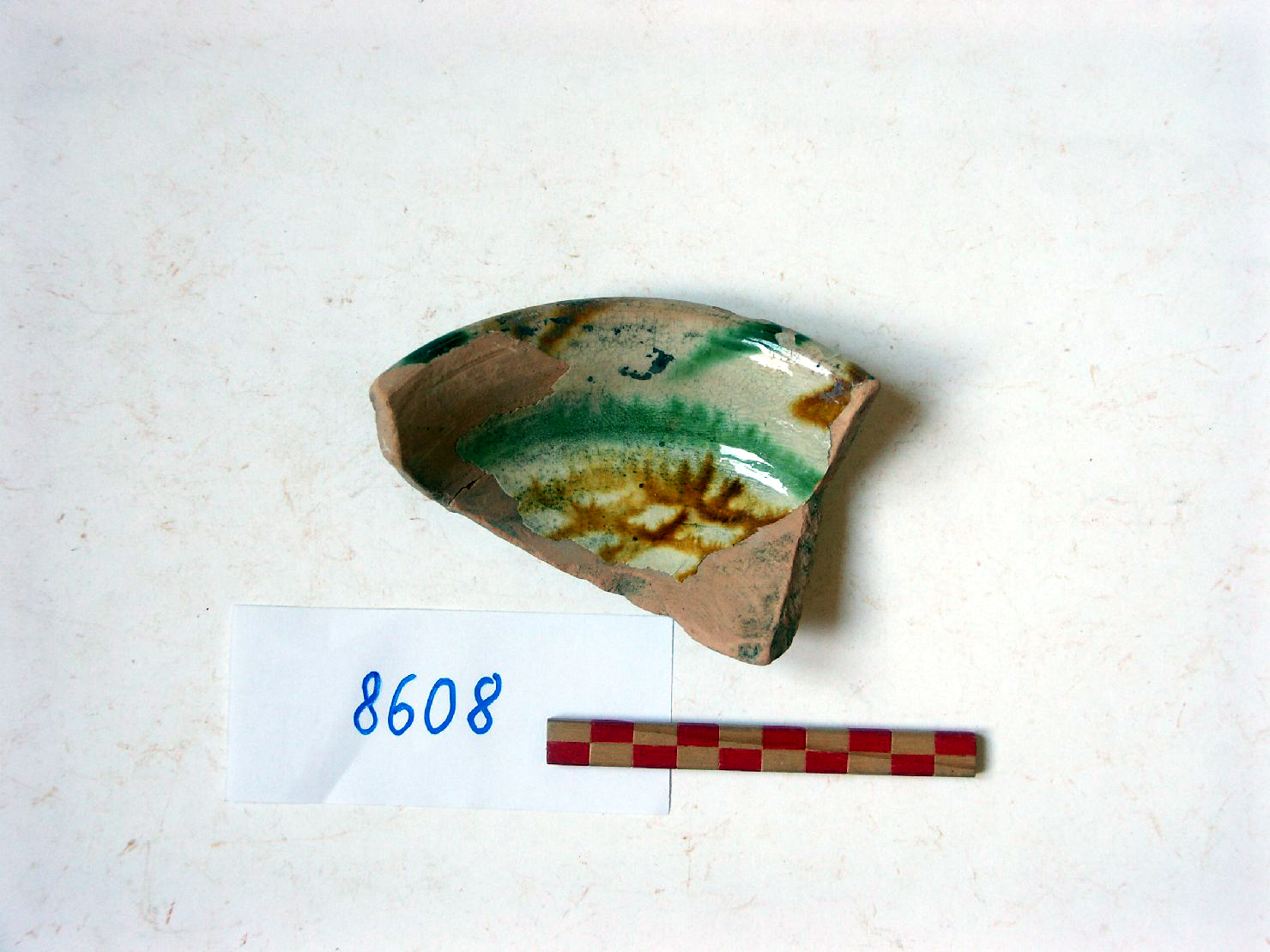 motivi decorativi (scodella, frammento) - ambito veneziano (fine/inizio secc. XV/ XVI)