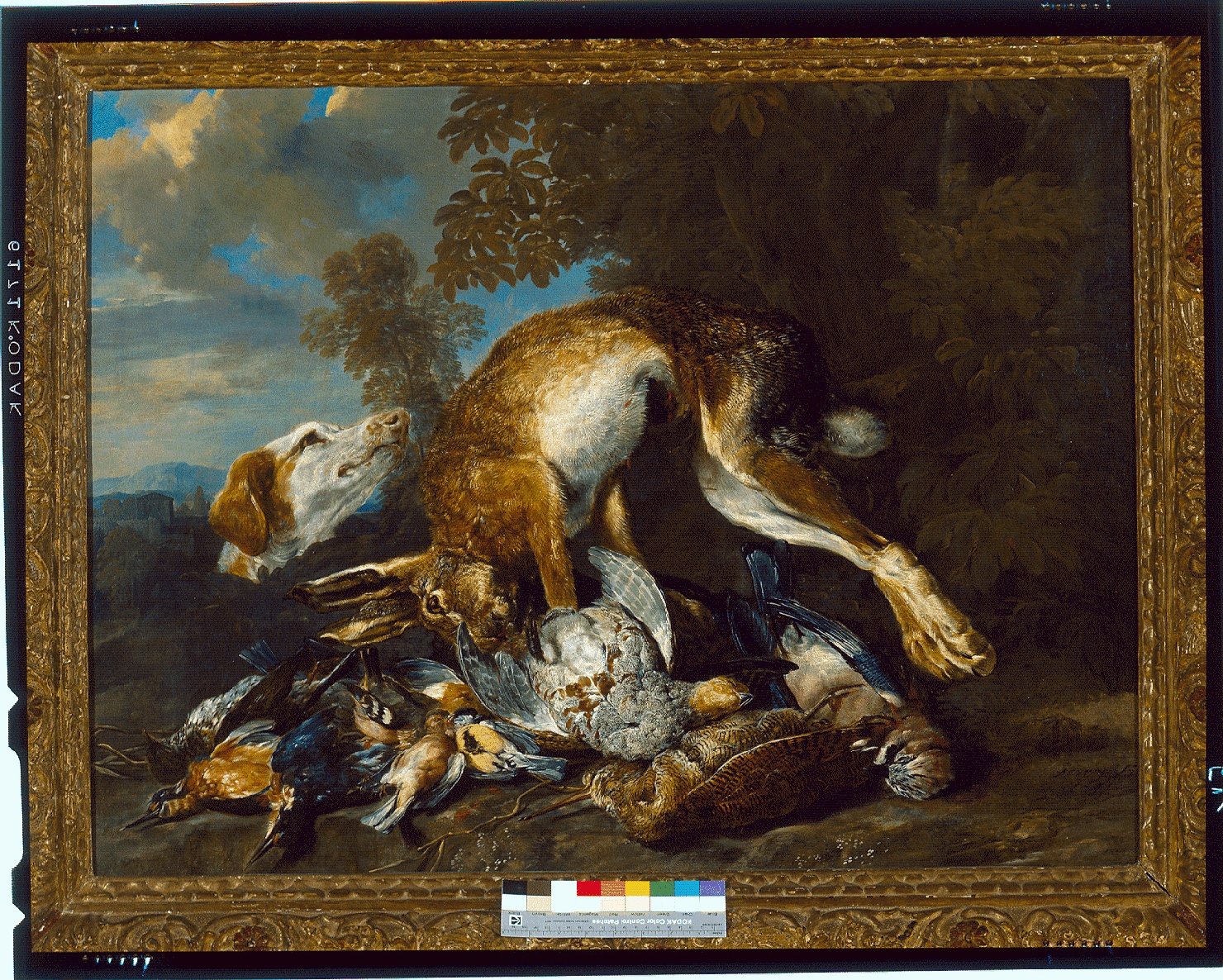 natura morta con cacciagione (dipinto) di Fyt Johannes (sec. XVII)
