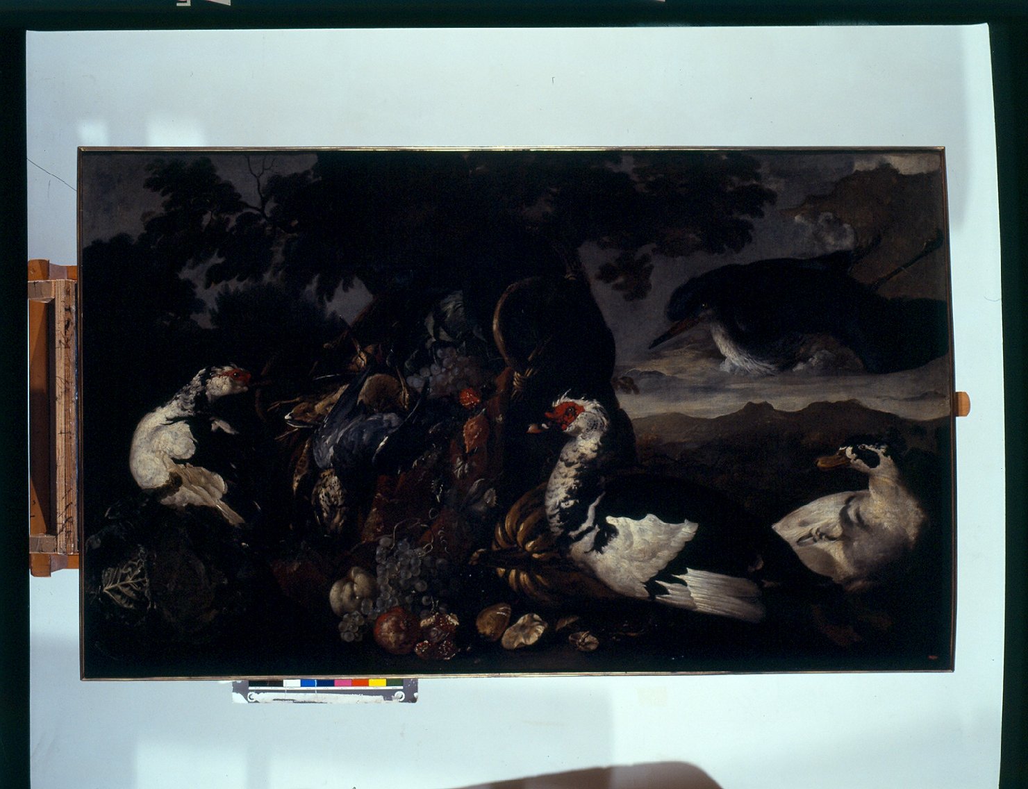 natura morta con cacciagione (dipinto) di De Coninck David (sec. XVII)