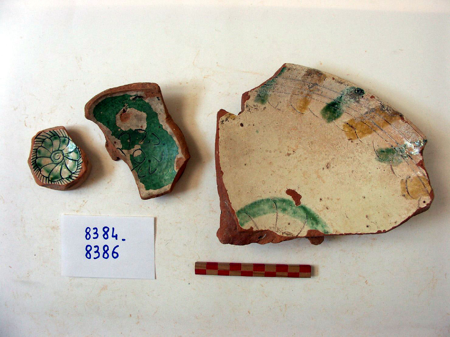 motivi decorativi vegetali (scodella, frammento) - ambito veneziano (secc. XVI/ XVII)