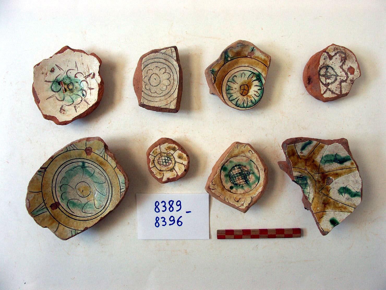 motivi decorativi vegetali (scodella, frammento) - ambito veneziano (secc. XVI/ XVII)